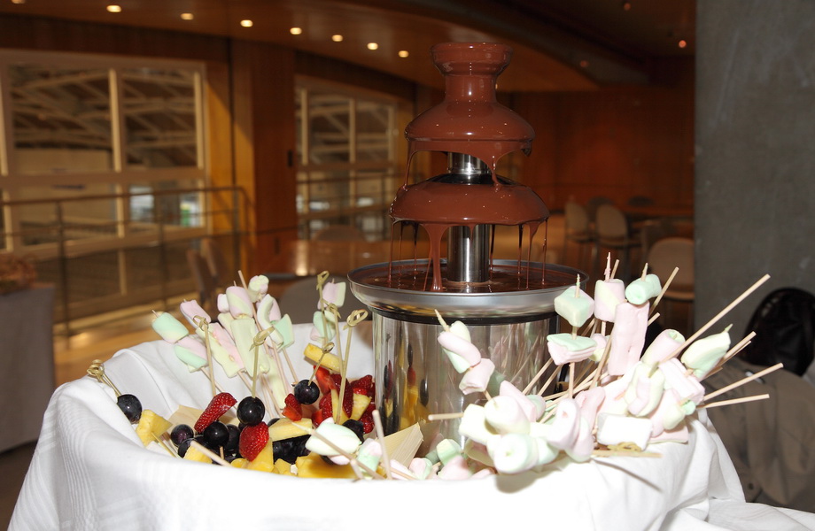 2009 - 04 - AG HCFR - 13